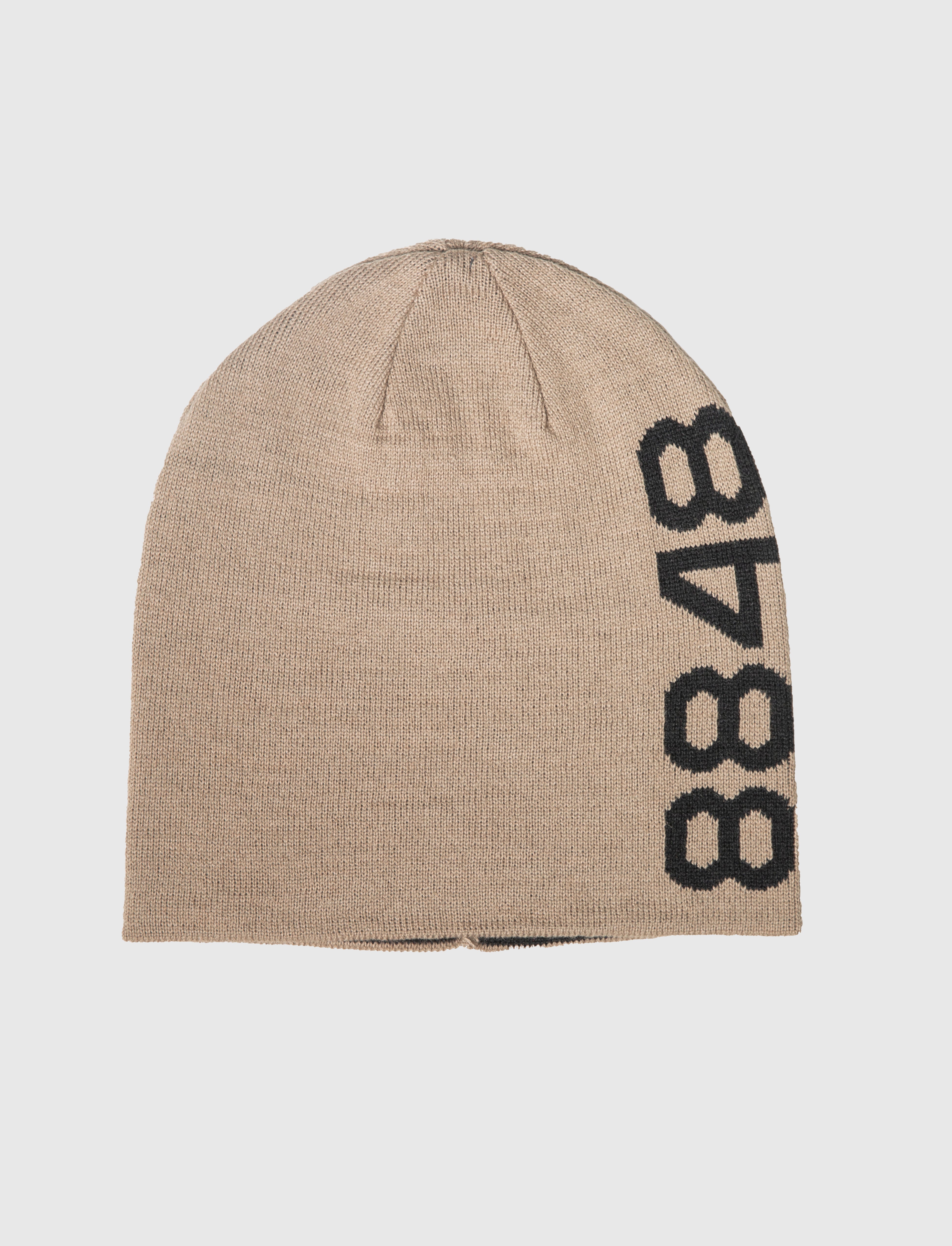 Asp Beanie - Fallen Rock